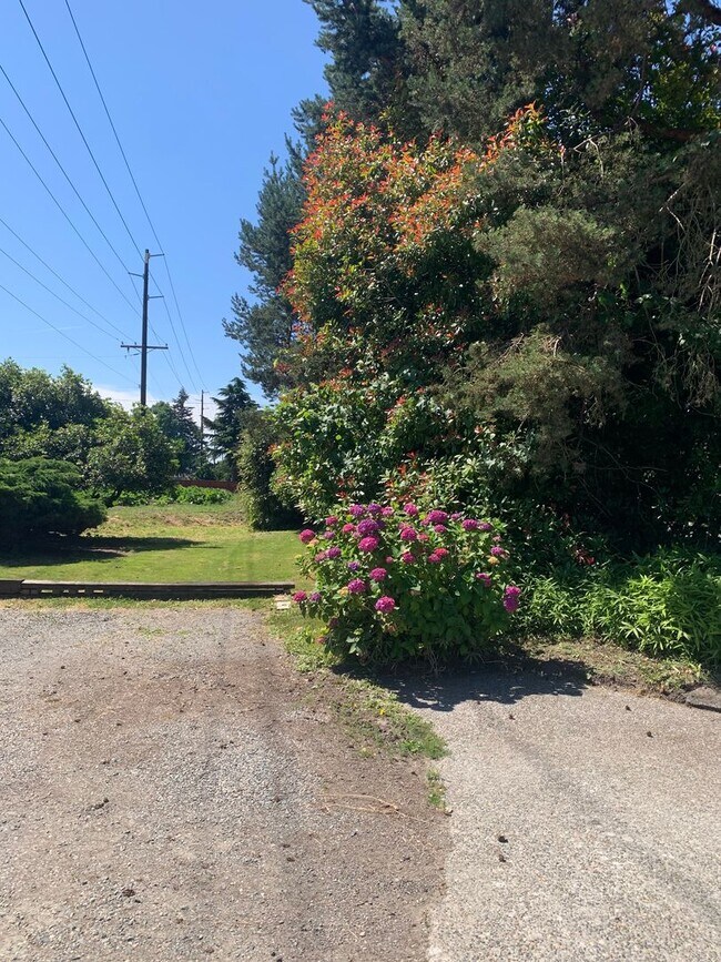 Building Photo - Sumner! New Price!