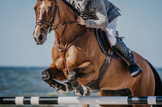 Building Photo - 946 Magnolia St SE