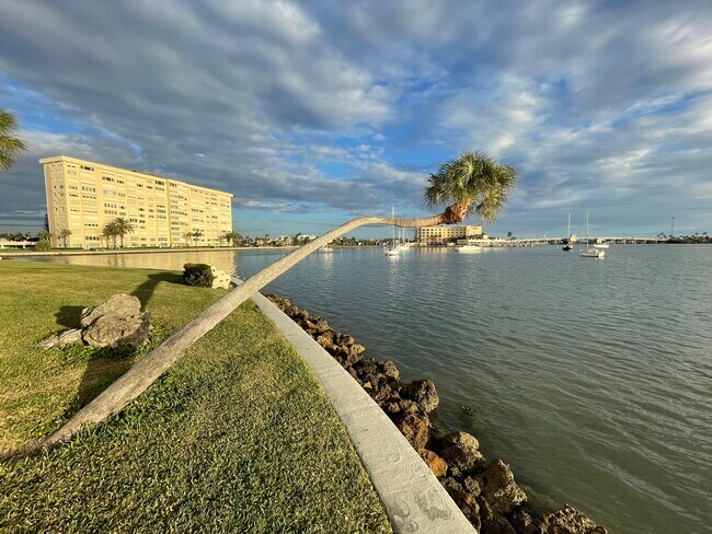 Building Photo - 4750 Cove Cir