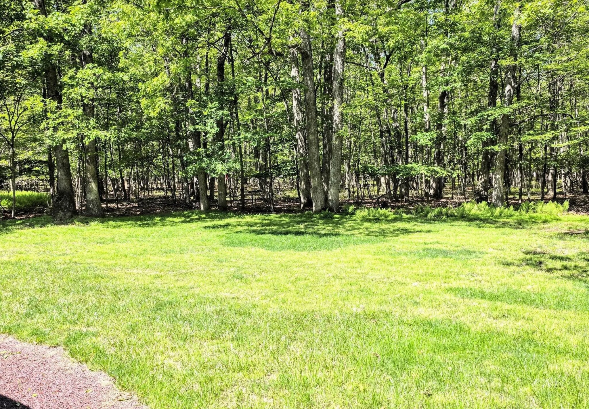 Building Photo - 161 Piney Woods Dr