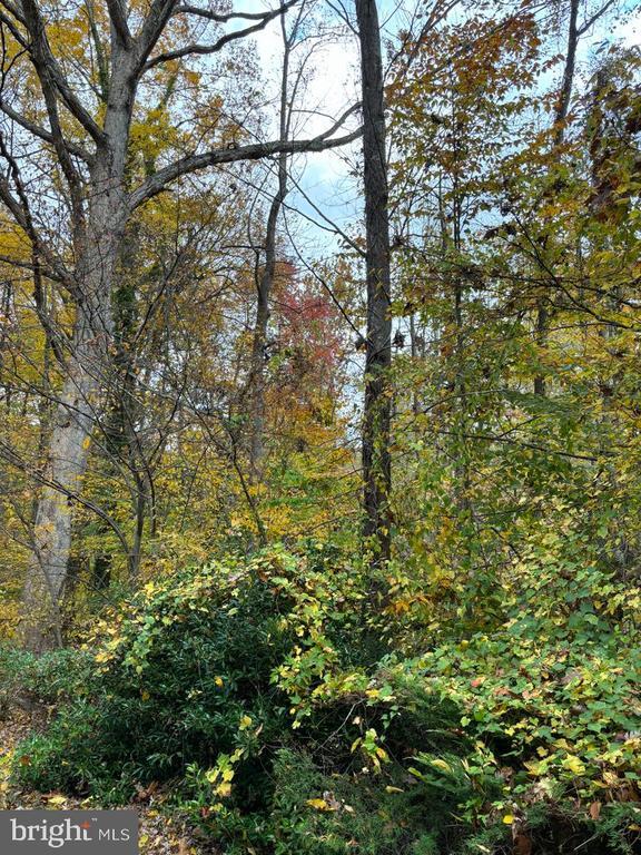 Building Photo - 6803 Wild Rose Ct