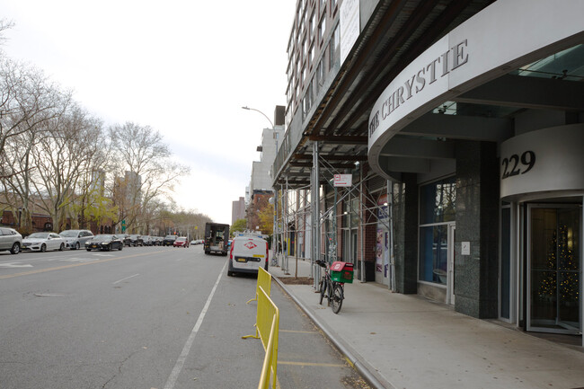 Building Photo - 229 Chrystie St