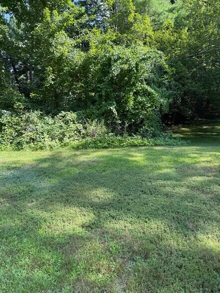 BacKyard - 843 Boston Rd