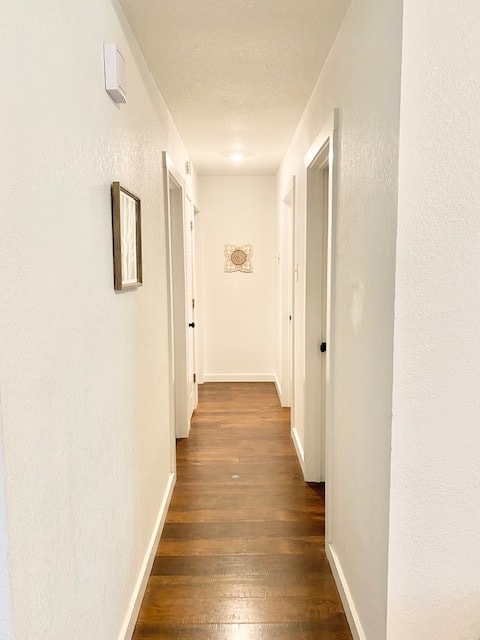 Building Photo - 303 Craigmont Dr