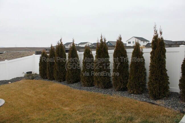 Building Photo - 2511 Brodie Ln