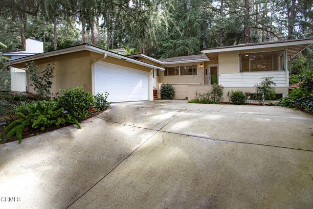 Primary Photo - 5316 Palm Dr
