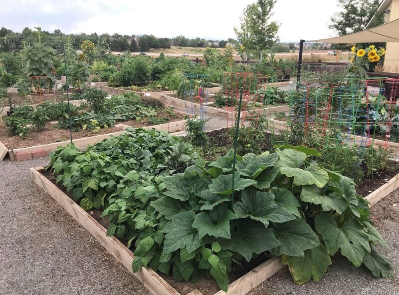 Building Photo - 9733 Dunning Cir