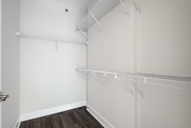 Walk-In Closet - 1315 East Blvd