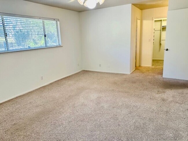 Building Photo - $3,300 Fowler & Shepherd, Solar & Swimming...