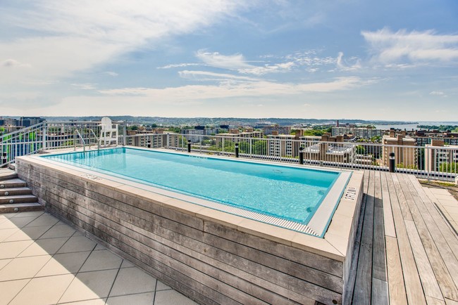 Both Lex and Leo feature rooftop pools with great views of Washington DC - Lex and Leo at Waterfront Station