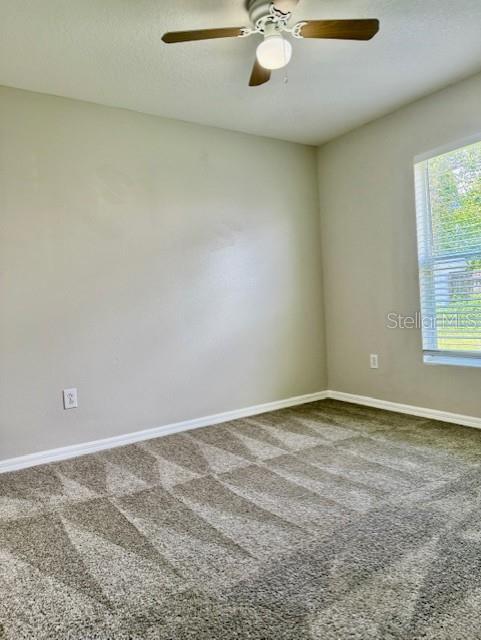 Building Photo - 28510 Seashell Ct