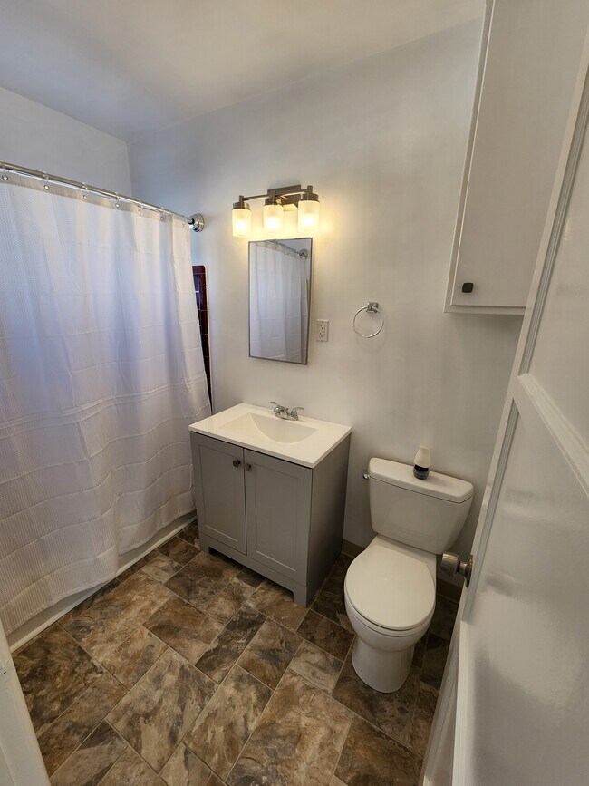 Updated Bath - 132 Franklin Ct