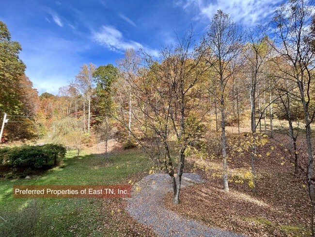 Building Photo - 709 Brown Mountain Rd