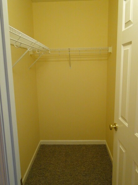 Building Photo - 1481 Miller Spring Ct
