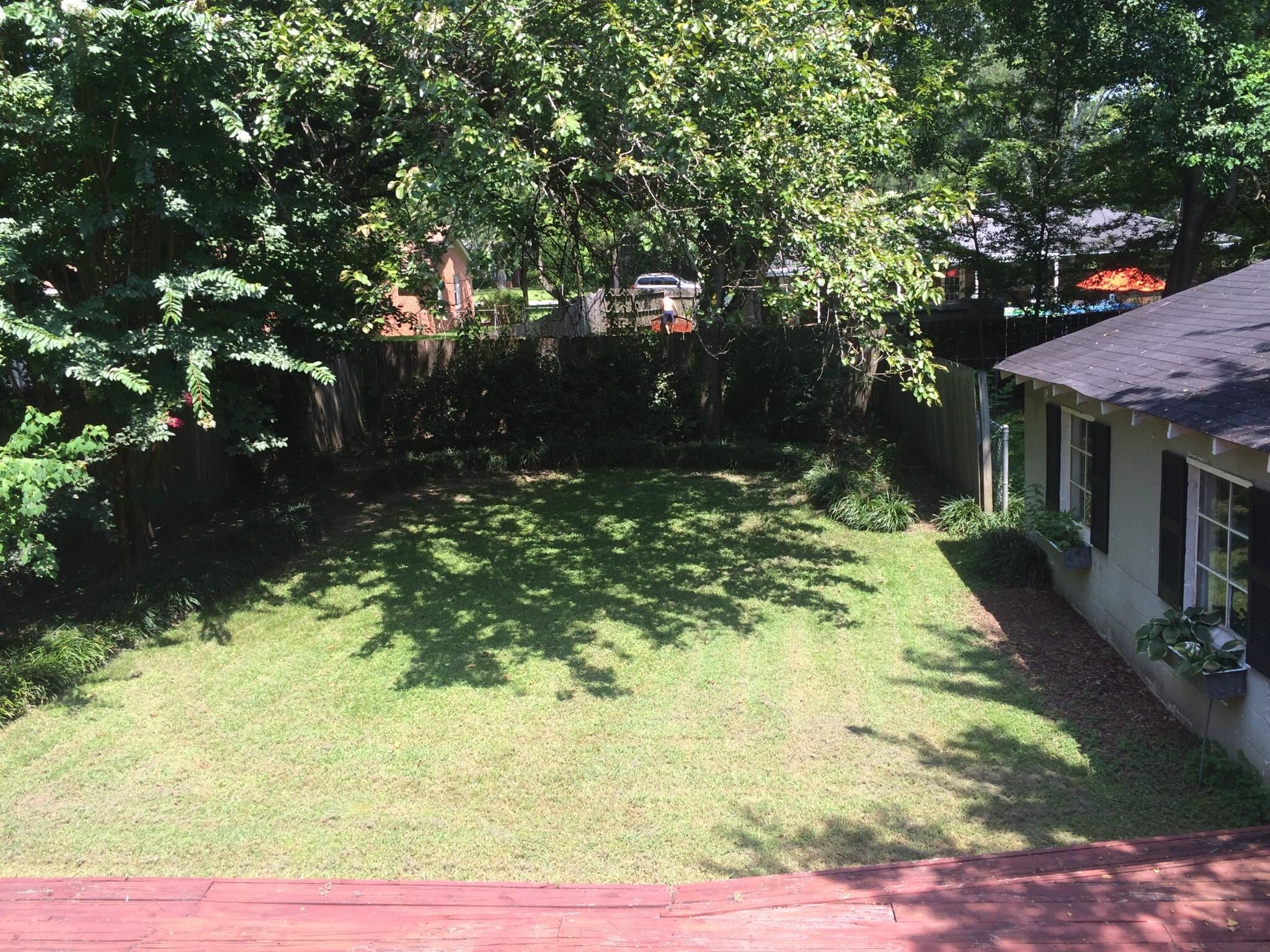 Back yard - 2069 Gorgas St