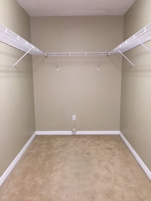 Building Photo - AVALON PARK!MOVE IN NOW! LARGE 5bd 2.5 bat...