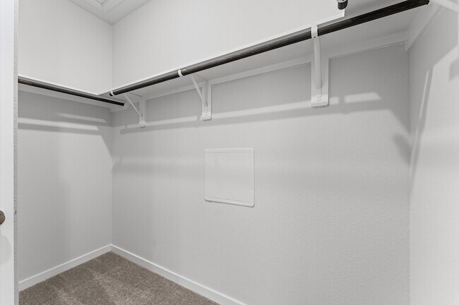 Building Photo - 259 Brazen Forest Trl