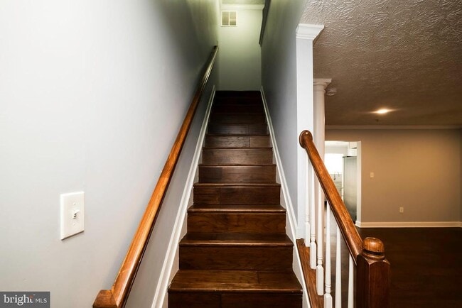 Building Photo - 3317 Hibiscus Ct