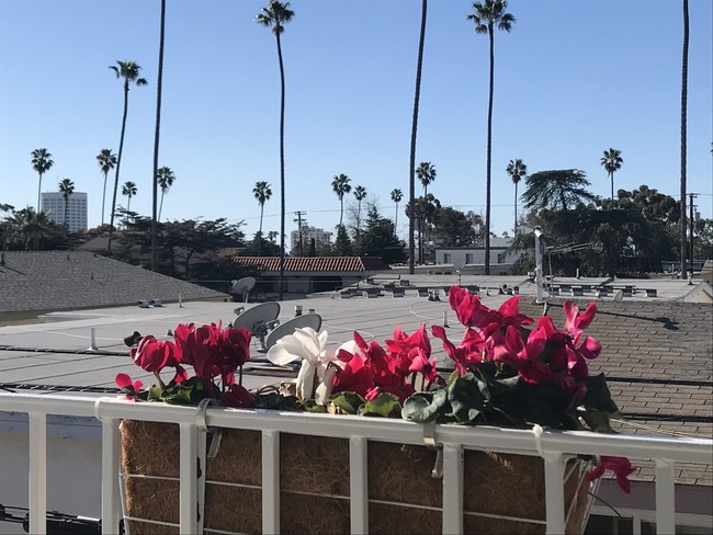 Building Photo - 824 10th St in Santa Monica - Steps to Mon...