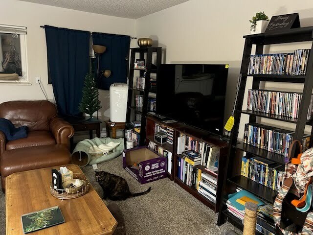 Living Room - 451 Golden Cir