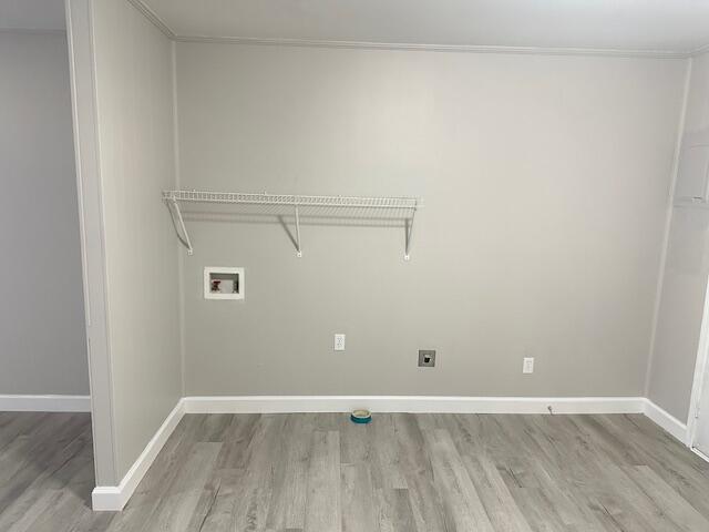 Building Photo - 4100 N Ocoee St