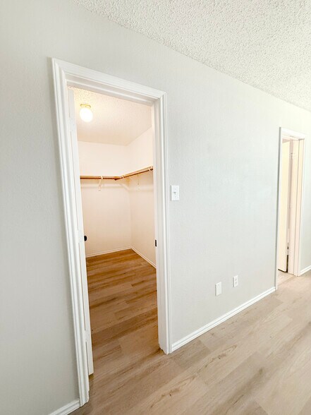 Generous walk-in master closet. - 1419 Windy Meadows Dr