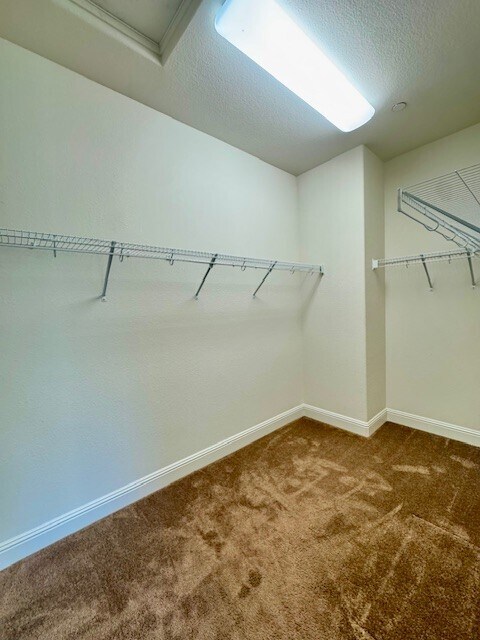 Building Photo - 2764 Rio Seco Dr