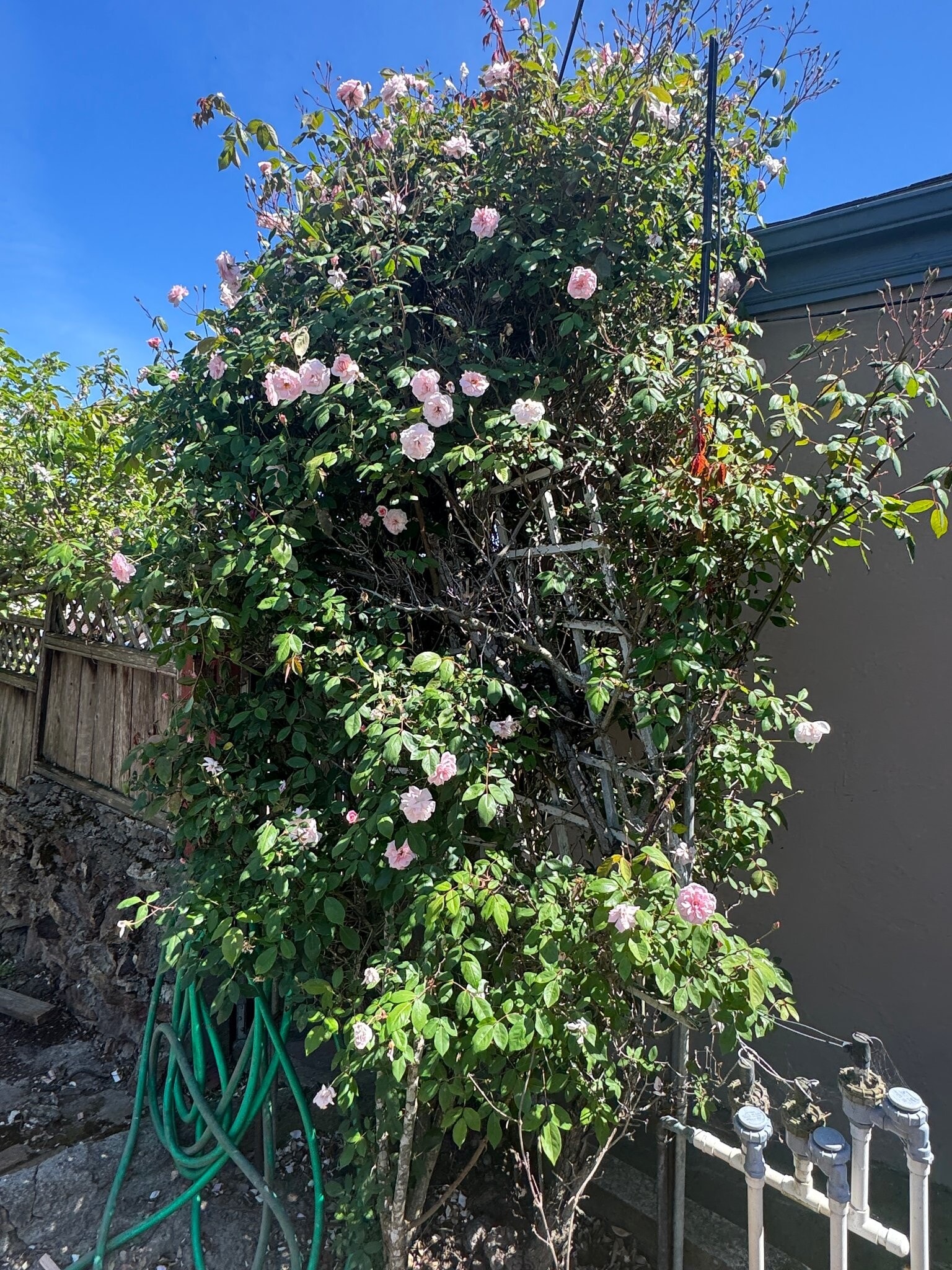 Building Photo - 601 Linden Ave