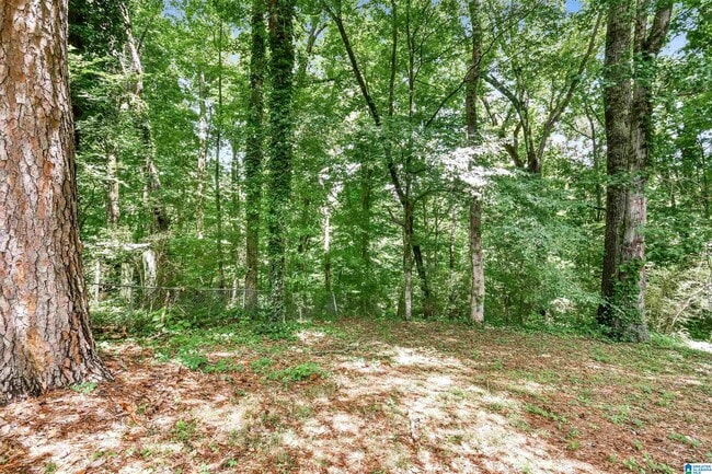 Building Photo - 1032 Sandy Brook Cir