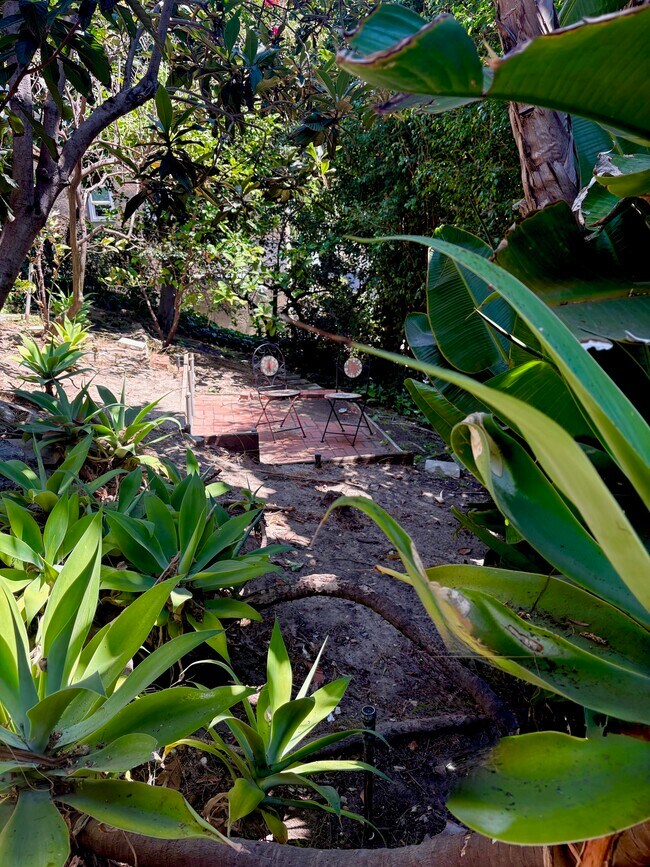 Lush hillside garden featuring mature fruit trees. - 1672 Rotary Dr