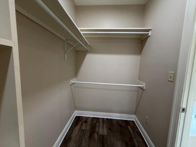 Building Photo - 3731 Praline Ct