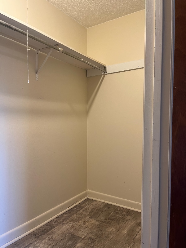 Building Photo - 143 Hendricks Blvd