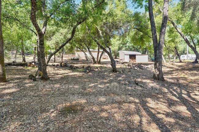 Building Photo - 2541 Deer Brush Ln