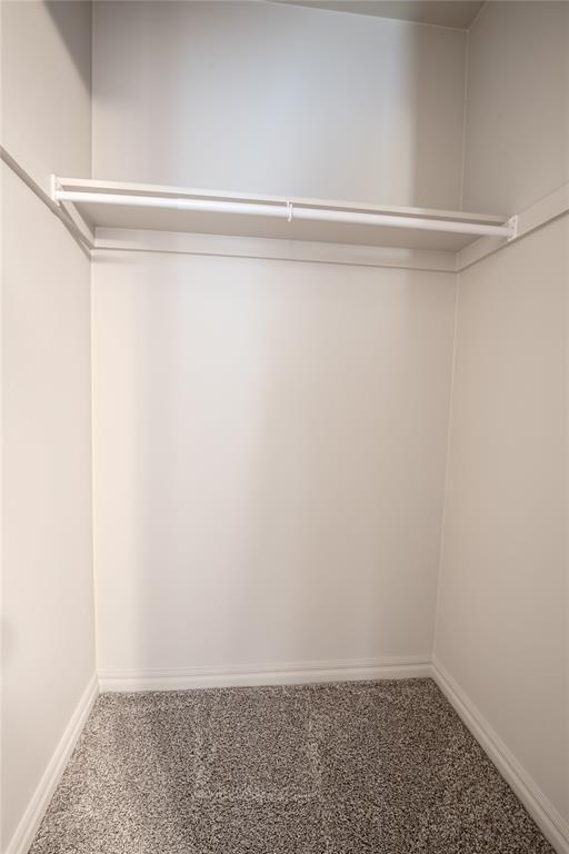 Building Photo - 3817 Lleyton Dr
