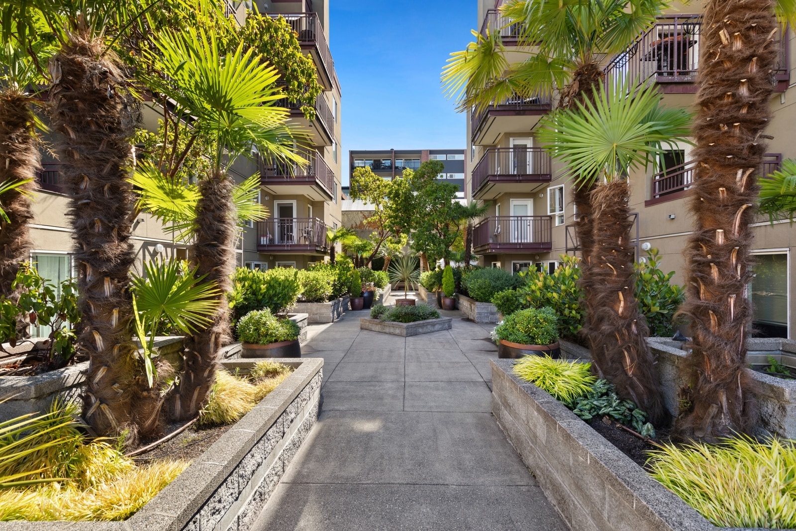 Courtyard - 1711 E Olive Way