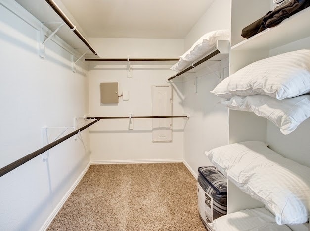 Building Photo - 1646 Ryon Falls Dr