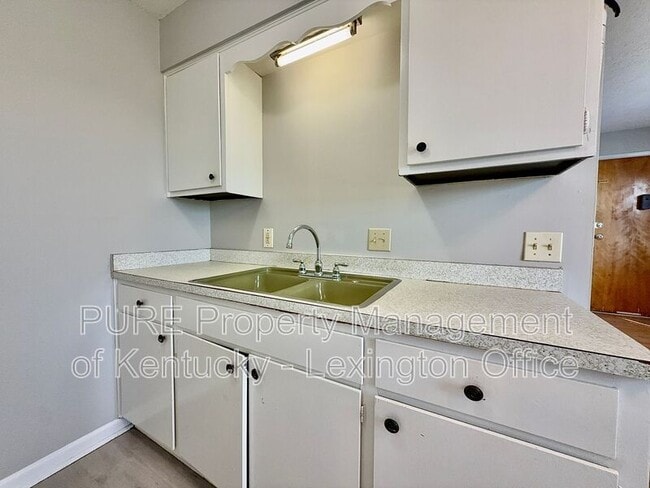 Building Photo - 1517 Steadmantown Ln