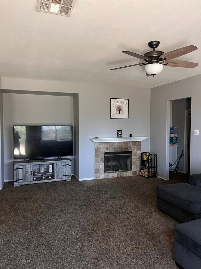 Family Room/Fireplace - 1552 Shadow Hill Trl
