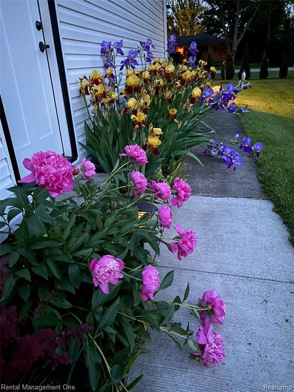 Building Photo - 174 Lange Ave