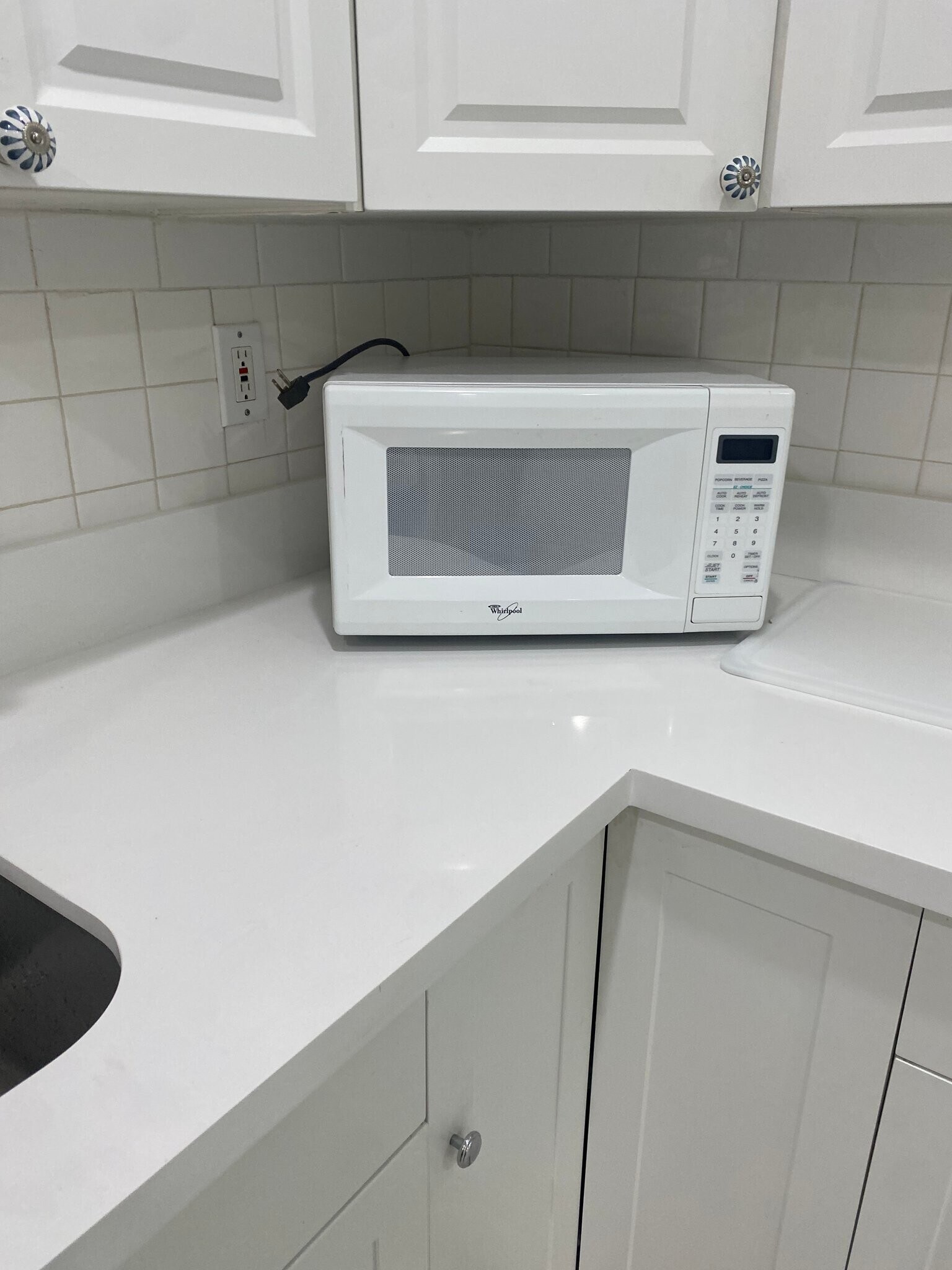 Building Photo - 115 Palamino Cir