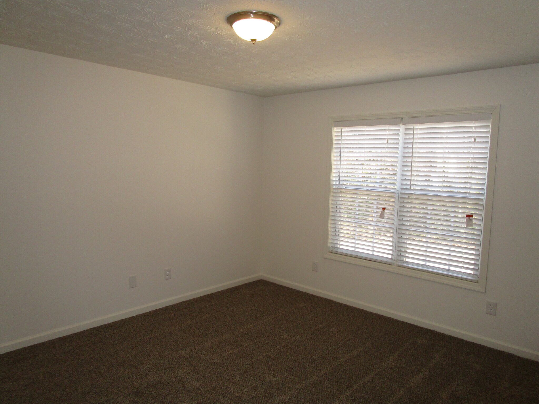 Building Photo - 2325 Carlysle Cove Dr