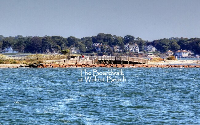 Building Photo - 23 Shea Ave