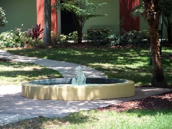 A view of the grounds - 2010 E Palm Ave