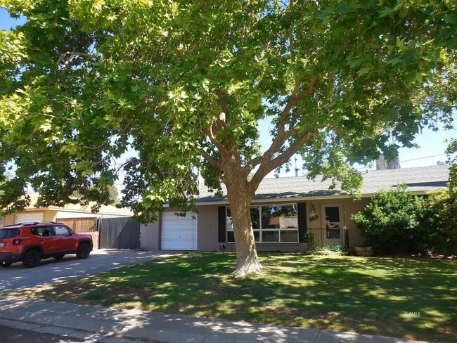 Building Photo - 418 Cedar St