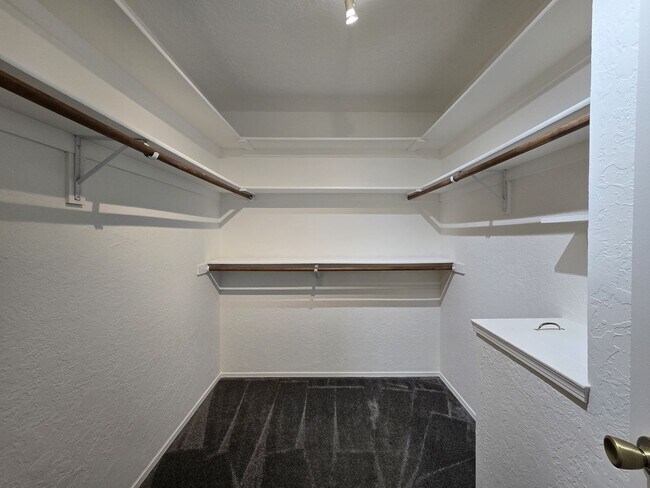Building Photo - 2582 Camino San Patricio