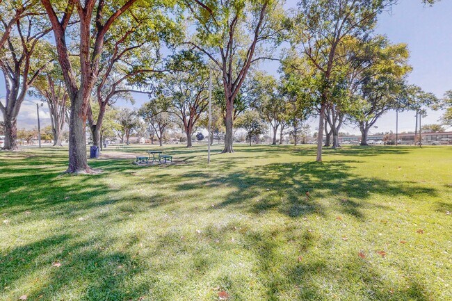 Building Photo - UPTOWN RENOVATED 3 Bedroom 2 Bath with garage