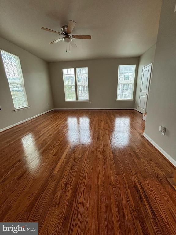 Building Photo - 115 Chamomile Ct