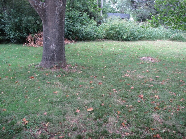 Building Photo - 3431 SW Brendan Ave