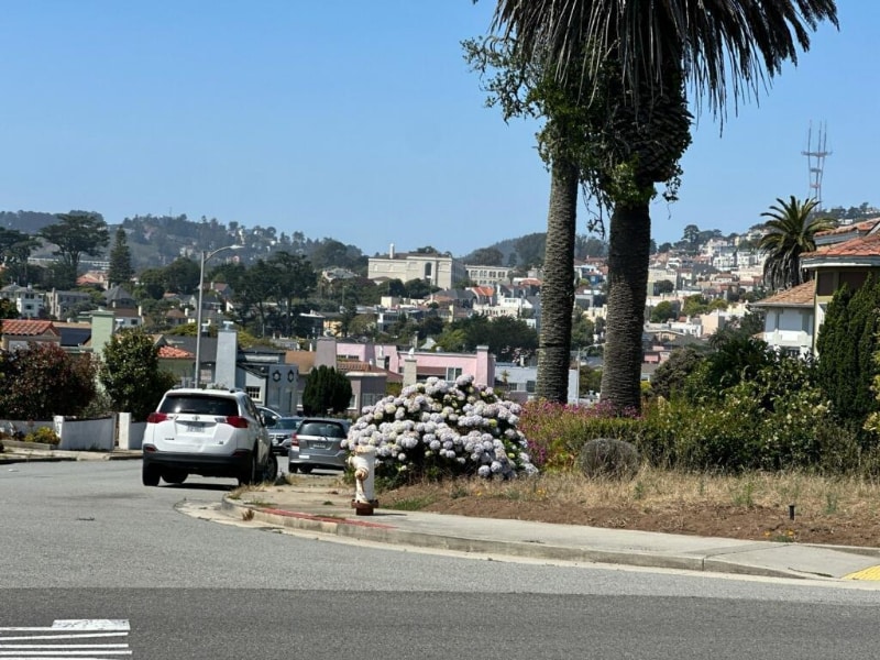 Building Photo - 1165 Holloway Ave