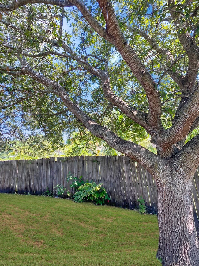 Building Photo - Budget-Friendly. Bold Personality. Big Aut...